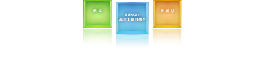 愛媛県認定漁業士の事業化体制