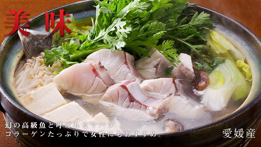 幻の高級魚マハタを送料無料でお届け!コラーゲンたっぷりで女性にもオススメ