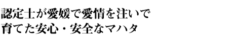 ɲǧȻΤɲǰǰƤ¿ʥޥϥ