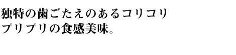 äλΤ륳ꥳץץο̣