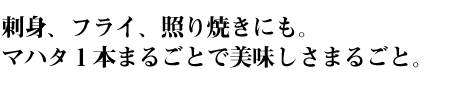 ɿȡե饤ȤƤˤ⡣ޥϥܤޤ뤴Ȥ̣ޤ뤴ȡ